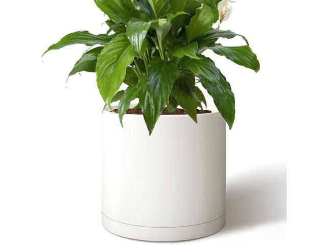 Giraffe Creation 14-Inch Round Cylinder Plant Pot, Modern Indoor/Outdoor Planter with Drainage Hole, Saucer & Water Reservoir, White