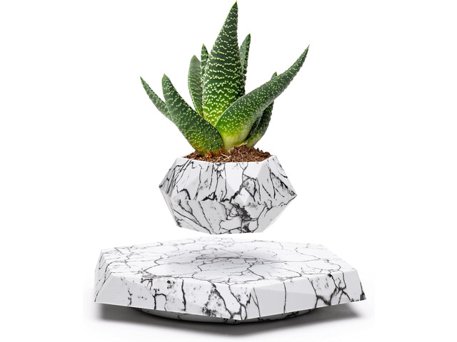 BandDlevs Floating Pots for Plants - Levitating Pot - Levitating Planter for Bonsai, Succulents, Air Plants - Floating Magnetic Display for Home...