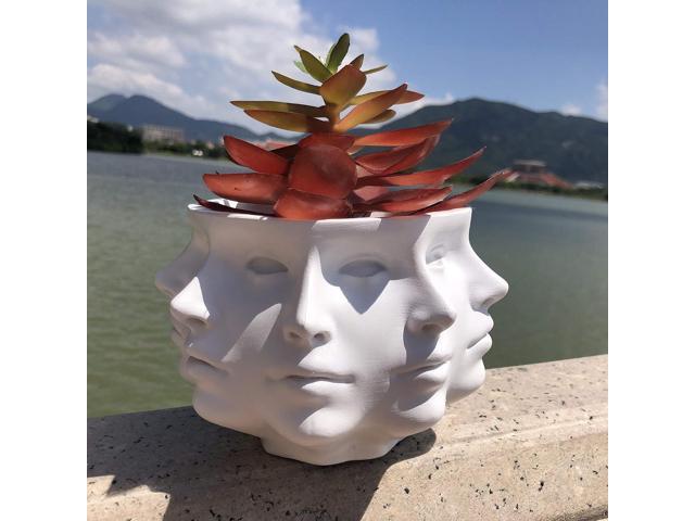 Multi-Face Succulent Planter Vase - Small Face Plant Head Home Decoration - Indoor Cactus Pot