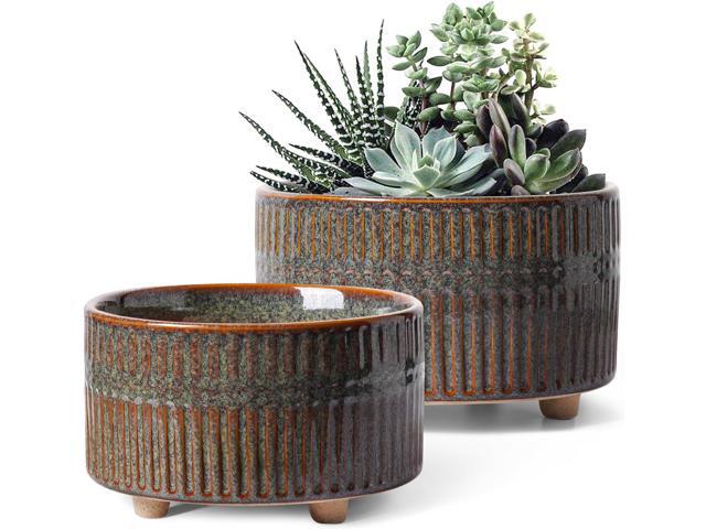 LE TAUCI Succulent Pots, 6.5+8 Inch Ceramic Pots for Plants Indoor, Shallow Round Succulent Planters with Drainage Hole, Set of 2, Reactive Glaze...