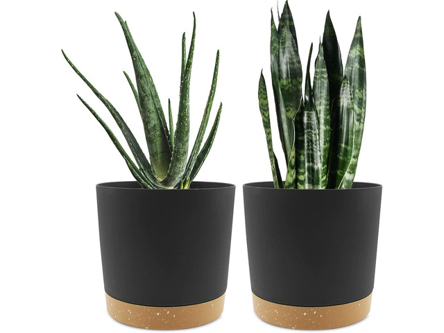 QCQHDU 8 inch Plant Pot, 2 Pack Planters for Indoor Plants with Drainage Holes & Saucer, Outdoor Flower Pots Home Garden Modern Decor