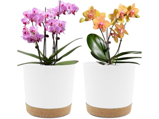 QCQHDU 8 inch Plant Pot, 2 Pack Planters for Indoor Plants with Drainage Holes & Saucer, Outdoor Flower Pots Home Garden Modern Decor