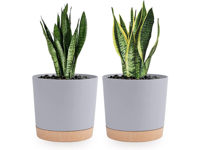 QCQHDU 8 inch Plant Pot, 2 Pack Planters for Indoor Plants with Drainage Holes & Saucer, Outdoor Flower Pots Home Garden Modern Decor