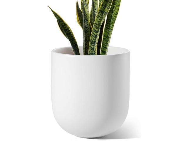 LE TAUCI 10 Inch Plant Pot, Ceramic Pots for Plants with Drainage Hole and Rubber Plug, Plant Pots Indoor for Olive Tree, Cylinder Planter Pot for.