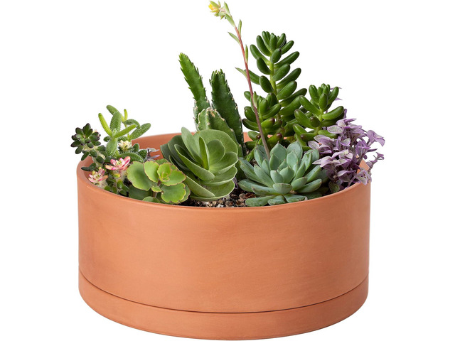 D'vine Dev 10 Inch Succulent Terracotta Shallow Pot with Drainage Hole and Saucer, Round Cylinder Planter Pot for Plant Flower, 40-Y-B-0