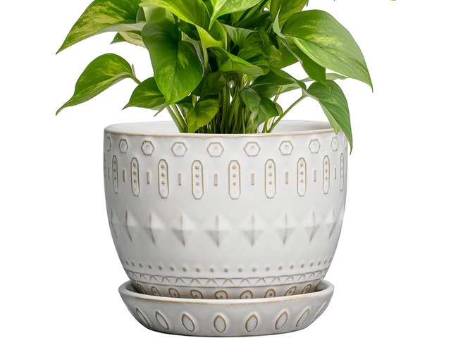G EPGardening Ceramic Plant Pot - Succulent Pots with Drainage Hole and Saucer 5 Inch Planter for Indoor Plants Outdoor Decorative Round Flower Pot...
