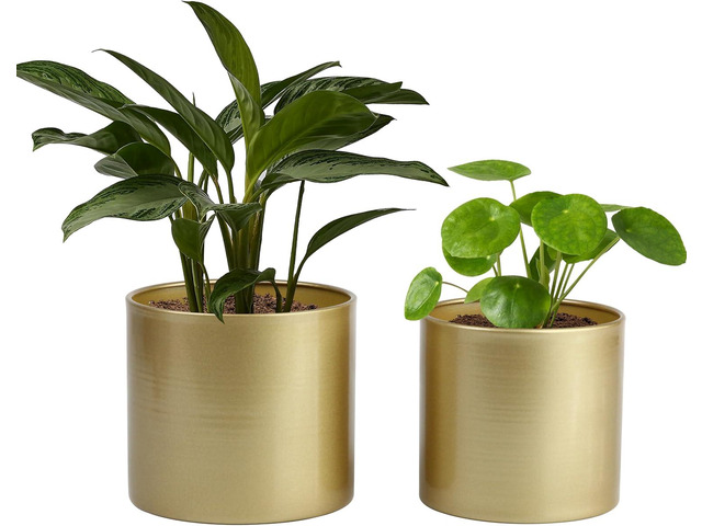 Vixdonos Metal Flower Pots Garden Planters Indoor Round Succulent Containers, Pack 2 Cactus Plant Pots with Drainage Hole (5.9inch+6.7inch, Gold)