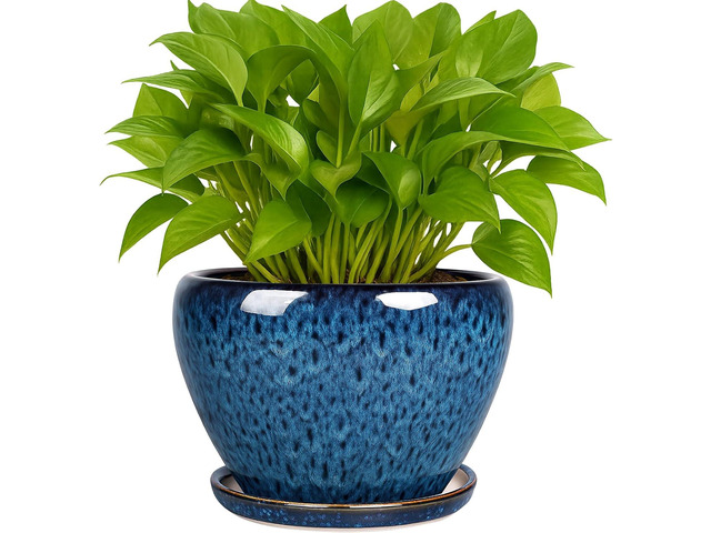 Deep Dream 6 Inch Plant Pots- Ceramic Planter Pot with Drainage Hole and Saucer, Round Flower Pot for Indoor Outdoor Succulent, Snake Plants and...
