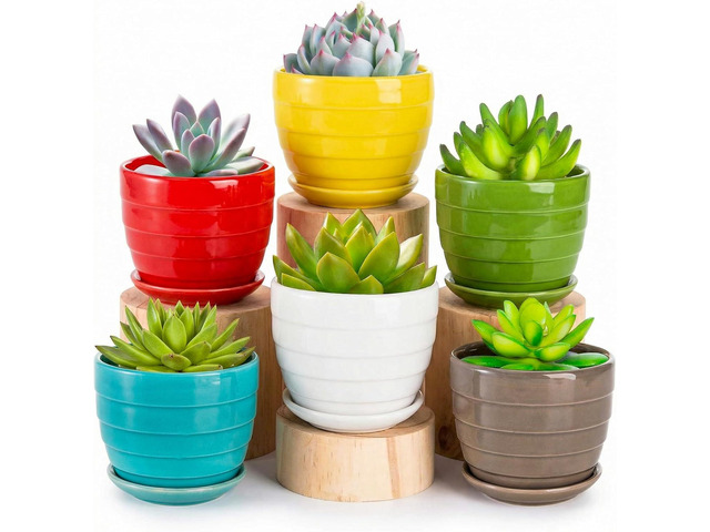 Elsjoy 6 Pack 4.3 Inch Ceramic Succulent Pots with Drainage and Attached Saucer, Small Decorative Succulent Planter Cute Ceramic Flower Pots for...