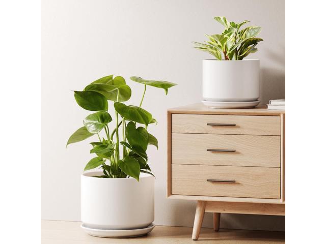 LE TAUCI Ceramic Plant Pots, Set of 2, 8+10 Inch Plant Pots Indoor with Drainage Hole & Saucer, Sturdy Planters for Indoor Plants, Modern...