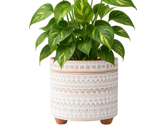 D'vine Dev 8 Inch Terracotta Planter Pot, Modern Design Ceramic Plants Pot with Drainage Hole, Saharan Script, 33-953-D-1