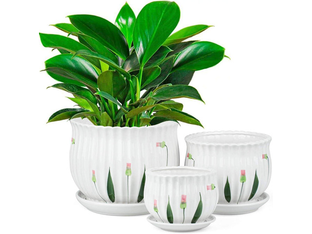 Foraineam Set of 3 Ceramic Plant Pots Small to Large Sized Garden Flower Planter Pot Round Modern Succulent Cactus Containers with Drainage and Saucer
