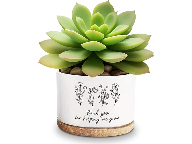 Thank You for Helping Me Grow Ceramic Succulent Funny Planter Pots for Plant Lovers Teacher Birthday Christmas Thanksgiving Gift, 3.6 Inch (Plant...