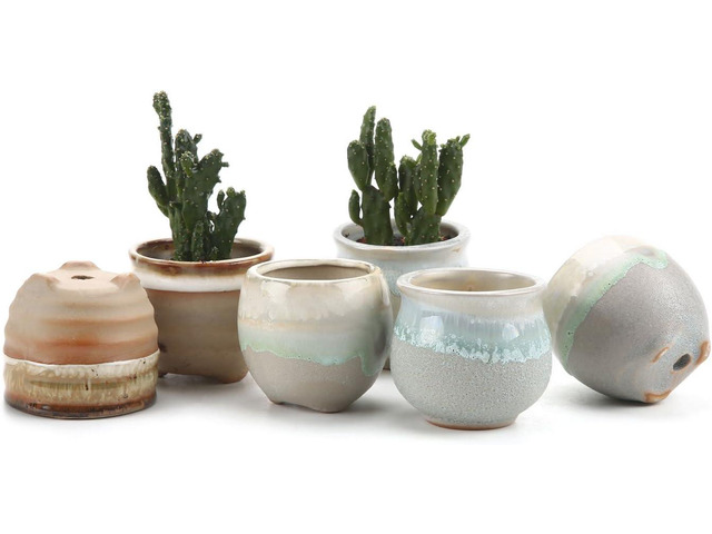 T4U Small Ceramic Succulent Pots with Drainage Set of 6, Mini for Plants, Tiny Porcelain Planter, Air Plant Flower Cactus Faux Plants Containers,...