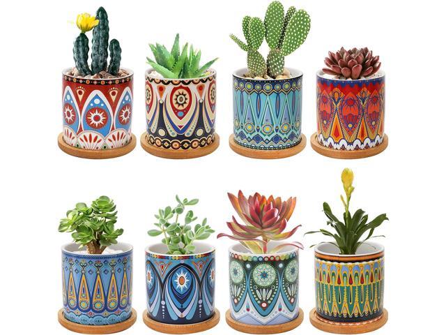 Kingrol 8 Pack Succulent Pots, Mini Ceramic Flower Planter Pot with Drainage Hole and Bamboo Tray for Cactus, Ferns, Herbs, Jade Plants - Mandala...