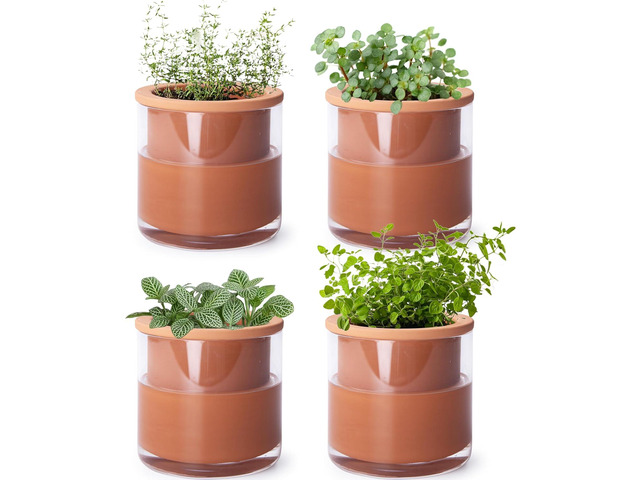 Phoenix Vine 4 Inch Self Watering Plants Pot, Design Terracotta Pot for Plants, Indoor Cylinder Terra Cotta Planter with Glass Vase, Set of 4,...