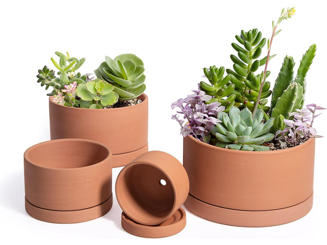D'vine Dev Set of 4 Terracotta Shallow Planter Pots for Succulent, 3 Inch 4 Inch 5 Inch 6 Inch, Small Flower Plant Pots with Drainage and Saucer,...