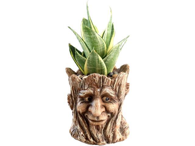 Funny Planter Head Face Plant Pot with Drainage Hole Resin Succulent Plant Holder Pencil Holder Desk Organizer Office Garden Gift (Smile Face)