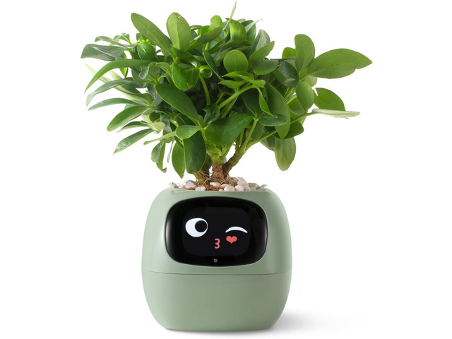 PLANTSIO Smart pet Planter Robot Guidance on Plant Care with Emojis, Adorable Plant Companion with Rich Gesture Interaction, Neat Desk Setup Gift...