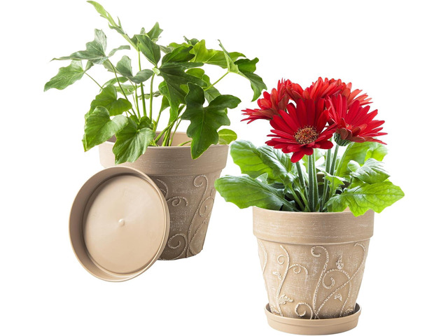 Melphoe Plant Pots Indoor with Drainage & Saucer, 2Pack 8 inch Flower Pots Outdoor Planters for Indoor Plants Garden Home Decor Cactus Succulent,...
