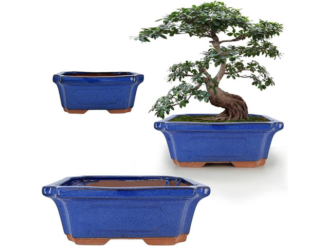 MUZHI 3 Pack Ceramic Rectangular Bonsai Tree Planter Pot Set 6+7+9, Cactus Succulent Planter Blue Glazed with Mesh Hole Screens
