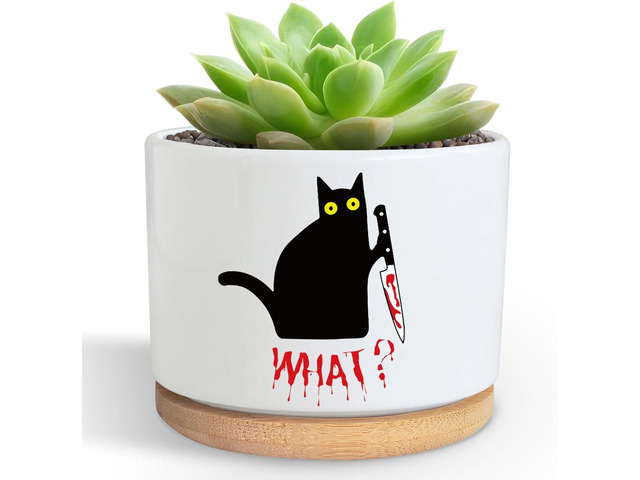 Funny Hello Black Cat Ceramic Plant Pot for Succulent, Cute Cat Cactus Flower Planter for Windowsill Indoor Decor, Home Office Decoration for Plant...