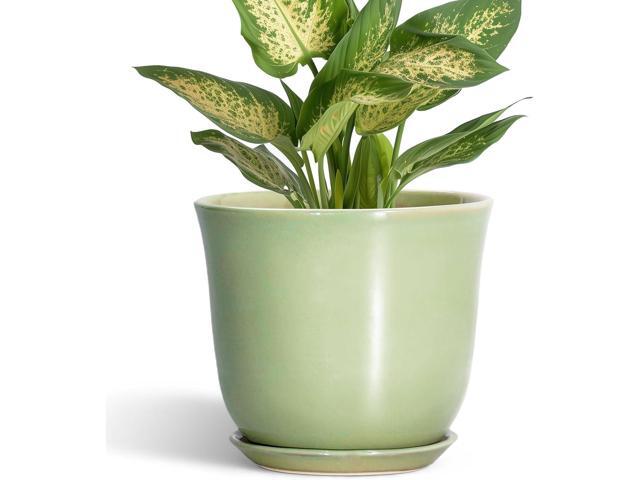5.6 Inch Plant Pot - Ceramic Pots for Plants Indoor Outdoor, Round Orchid Succulent Pot with Drainage Hole and Saucer, Modern Small Planter, Home...