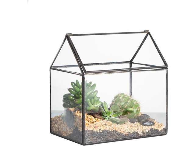NCYP Small 6.1' x 6.3' x 4.33' Glass Terrarium Box with Lid for Succulent, Air Plants - House Shape Closed Geometric Planter Pot - Home Garden...