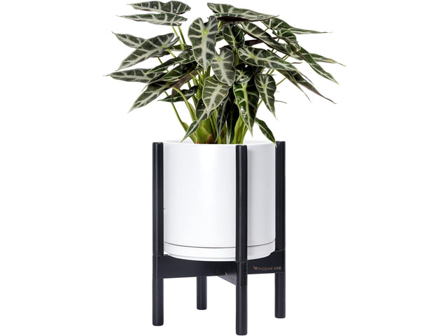D'vine Dev Ceramic Planter with Ebony Stand - 10 Inch Modern Round Flower Pot with Wood Planter Holder, White, 55-B-L-1