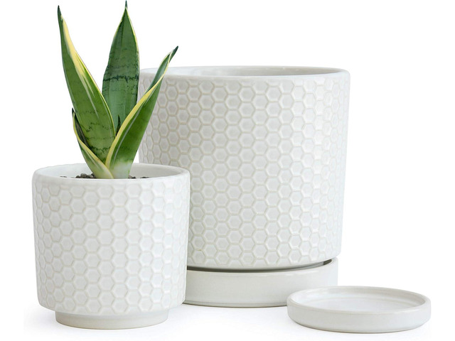D'vine Dev Set of 2 Modern Matte White Honeycomb Embossed Ceramic Planter Pots with Saucer and Drainage Hole, 4 Inch & 6 Inch, 99-C-1-N