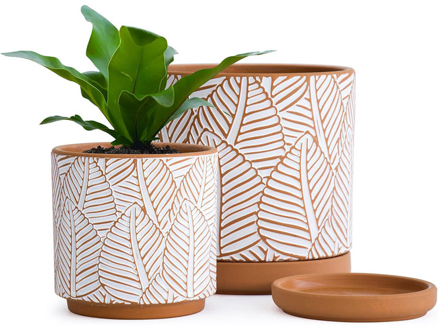 D'vine Dev Set of 2 Terracotta Pots, Broadleaf Pattern Planter Pot, 4 Inch and 6 Inch, Pot with Drainage Hole and Saucer, Terracotta/White, 31-958-H-1