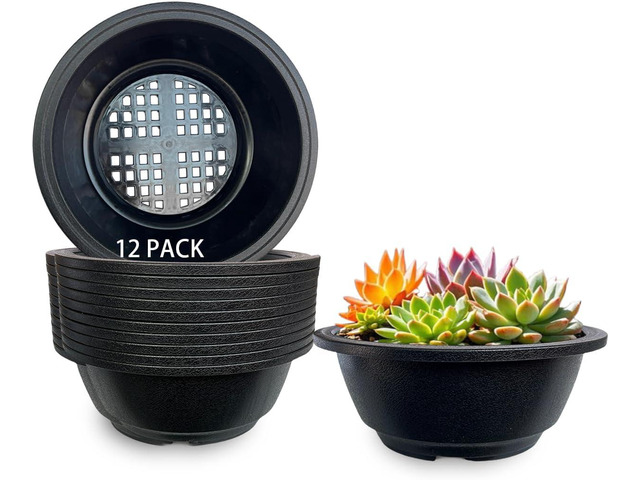 MUZHI 12PACK Matte Black Succulent Bonsai Round Planter Bowl Pot with Drainage, Plastic Cactus Flat Garden Plant Bowl Pots 6.3
