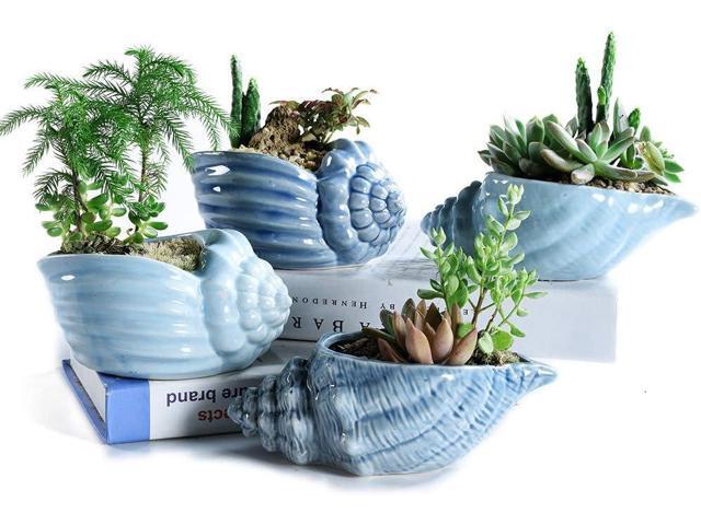 Bonsai Pots 5.5 Inch Blue Conch Ocean Series Ceramic Base Serial Set Succulent Plant Pot Cactus Plant Pot Flower Pot Container Planter With...