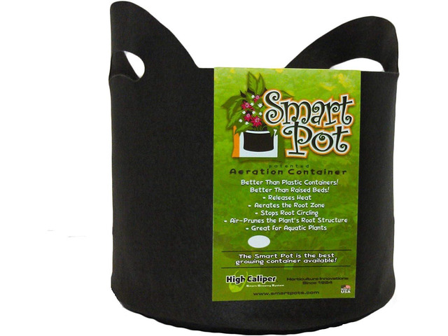 Smart Pots 10-Gallon Smart Pot Soft-Sided Container, Black with Cut handles