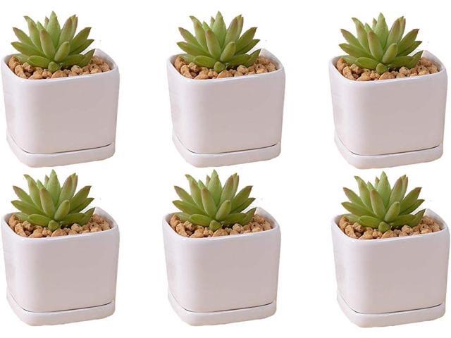 SeaStar Ceramic Succulent Mini Planter Pot,Mini 6 Set 2x1.65x2inch Square Modern Minimalist White/Window Box with Saucer for Office,Desk,House.