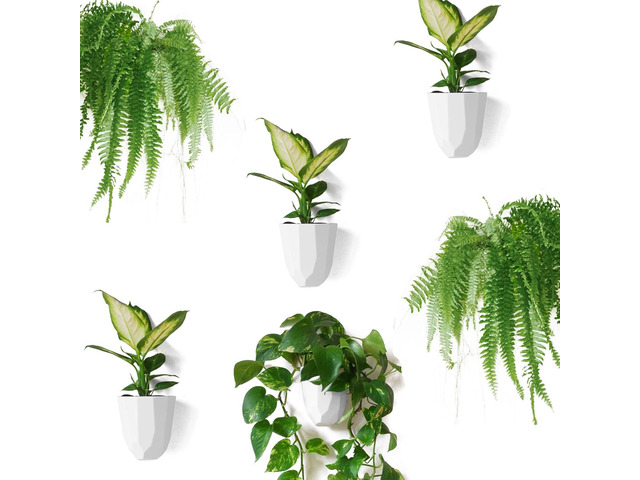 Make Good Virgo Wall Planters (Geometric, Set of 6) - Easy to Water and Install - Lightweight - Design Your Own Vertical Garden - Melamine Plastic