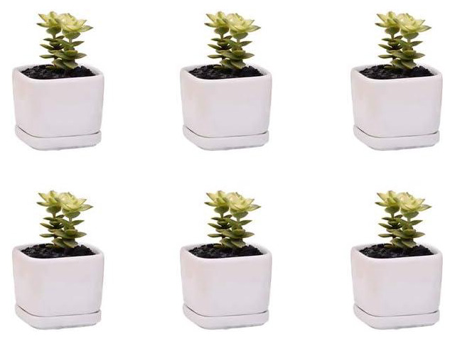 Mini 6 Set of 2x2x1.65inch Square Modern Minimalist White Ceramic Succulent mini Planter Pot/Window Box with Saucer (6, 2inch)