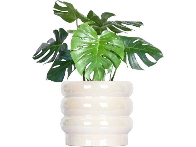 8 Inch Ceramic Plant Pots for Indoor Plants, White Flower Pot, Rainbow Pearl Glaze Planter with Planters for Plants with Drainage Hole