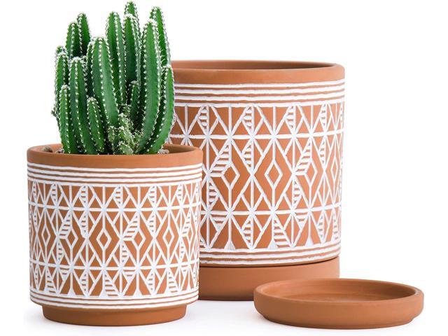 D'vine Dev Set of 2 Terracotta Pots, Diamond Pattern Planter Pot, 4 Inch and 6 Inch, Pot with Drainage Hole and Saucer, Terracotta/White, 31-958-G-1