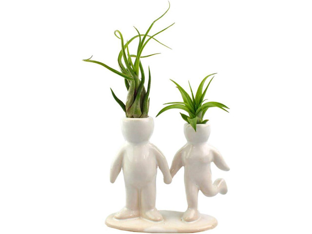 NW Wholesaler 5 Inch White Ceramic Couple Holding Hands People Shaped Planter with Two Live Tillandsia Air Plants - Potted Indoor Air Plants for...