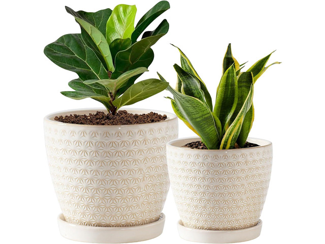Plant Pots, Flower Pots, Planters for Indoor Plants(6.5+5.5inch), Flower Pots for Indoor Plant with Drainage Hole and Saucer, Ceramic Pots for...