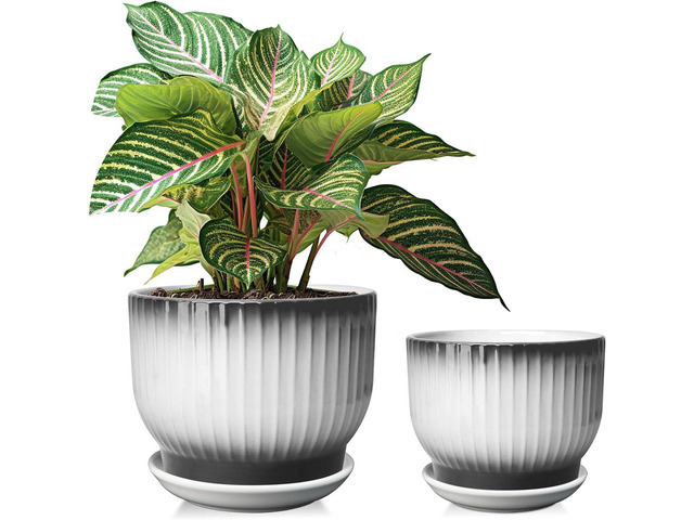 6.7 + 5.5 Inch Ceramic Plant Pots,Set of 2,Planters with Drainage and Saucer,Indoor Pots for Plants,Modern Flower Pots for Home and OfficeBlack +...