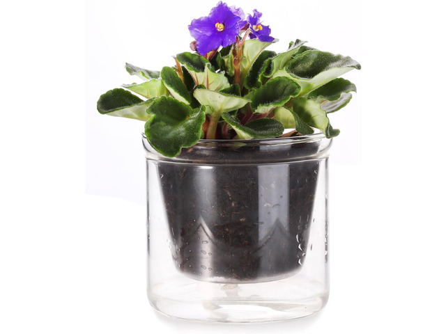 4 Inch Self Watering Pot,African Violet Pot,Bottom Watering Glass Planter for Indoor Plants and Progagation