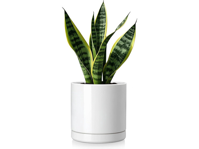 vancasso Ceramic Plant Pots, 6.25 Inch Ceramic Pot for Plants, Planters Pots for Indoor Plants with Drainage Holes, Flower Pot for Indoor House...