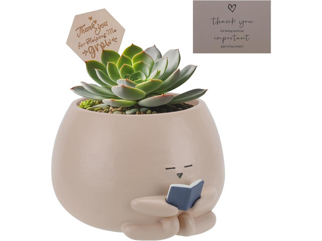 Bookworm Planter Pot - Cute Plant Pots for Succulents with Thank You Sign & Card, Small Reading Planter for Indoor Outdoor Decor, Succulent Gifts...