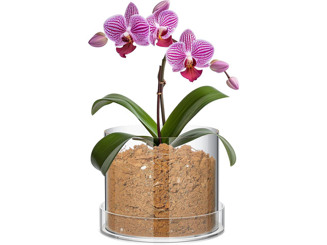 Clear Plant Nursery Pots Acrylic Orchid Pots with Drainage Holes and Tray Transparent Planter for Indoor Plants, Succulents, Herb, Flowers and...