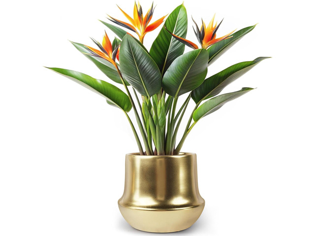 Gold Planter Pot Indoor Ceramic Flower Pots Modern Decorative Large Plant Pot 7.1 inch Gold Brass Planter for All House Plants,Succulents,Flowers...
