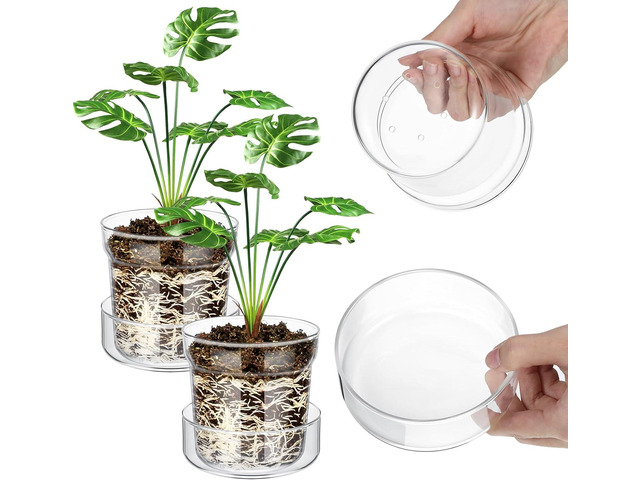 Baderke 4 Inch Glass Plant Pots with Saucer, Flower Nursery Plant Pots with Drainage for Flower Seed Starter Transparent Seedling (2 Sets)