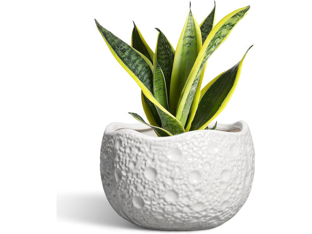 Ceramic Plant Pot - 8 Inch Round Planter with Drainage Hole, Decorative Plant Pots for Indoor Outdoor Plants, Modern Unique Flower Pots, House...