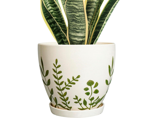 MPotTo Ceramic Pot for Plants 8.2 Inch - Indoor Plant Pot with Drainage Hole and Saucer, Decorative Boho Round Outdoor Planter, Gardening Gifts for...